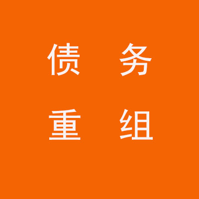什运乡个人债务重组优化